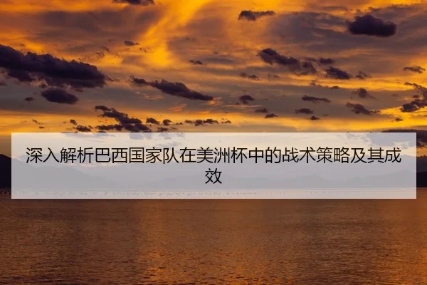 shen-ru-jie-xi-ba-xi-guo-jia-dui-zai-mei-zhou-bei-zhong-de-zhan-shu-ce-lve-ji-qi-cheng-xiao-2-363.jpg